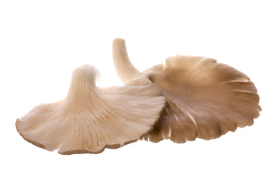 See our Mushroom Varieties