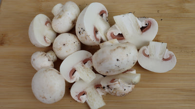 Button Mushroom Grow Kit