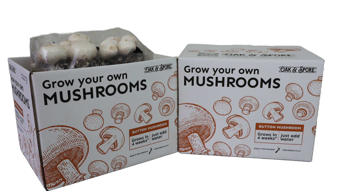 Button Mushroom Grow Kit