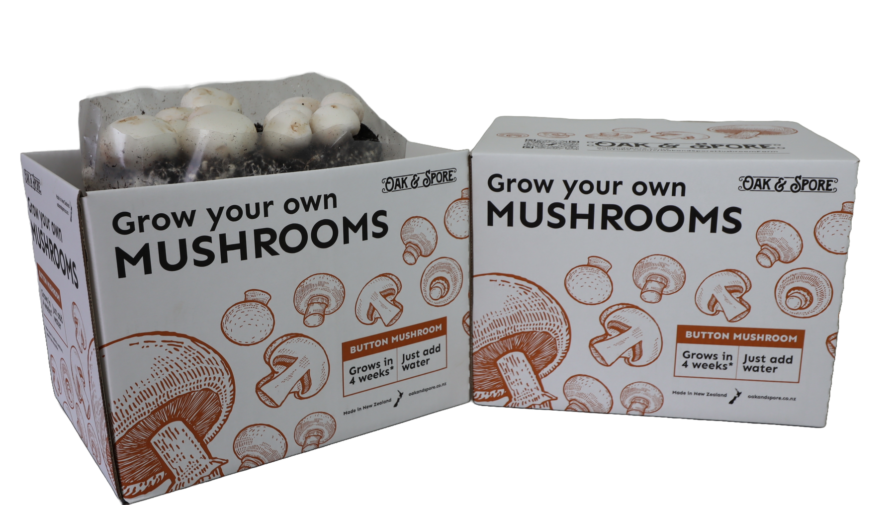 ReadytoGrow Button Mushroom Kit Home Mushroom Cultivation Oak and