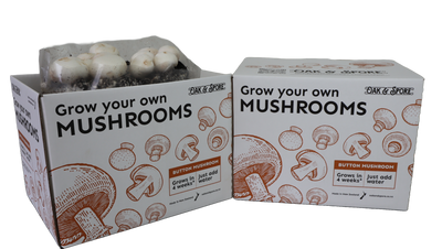Button Mushroom Grow Kit
