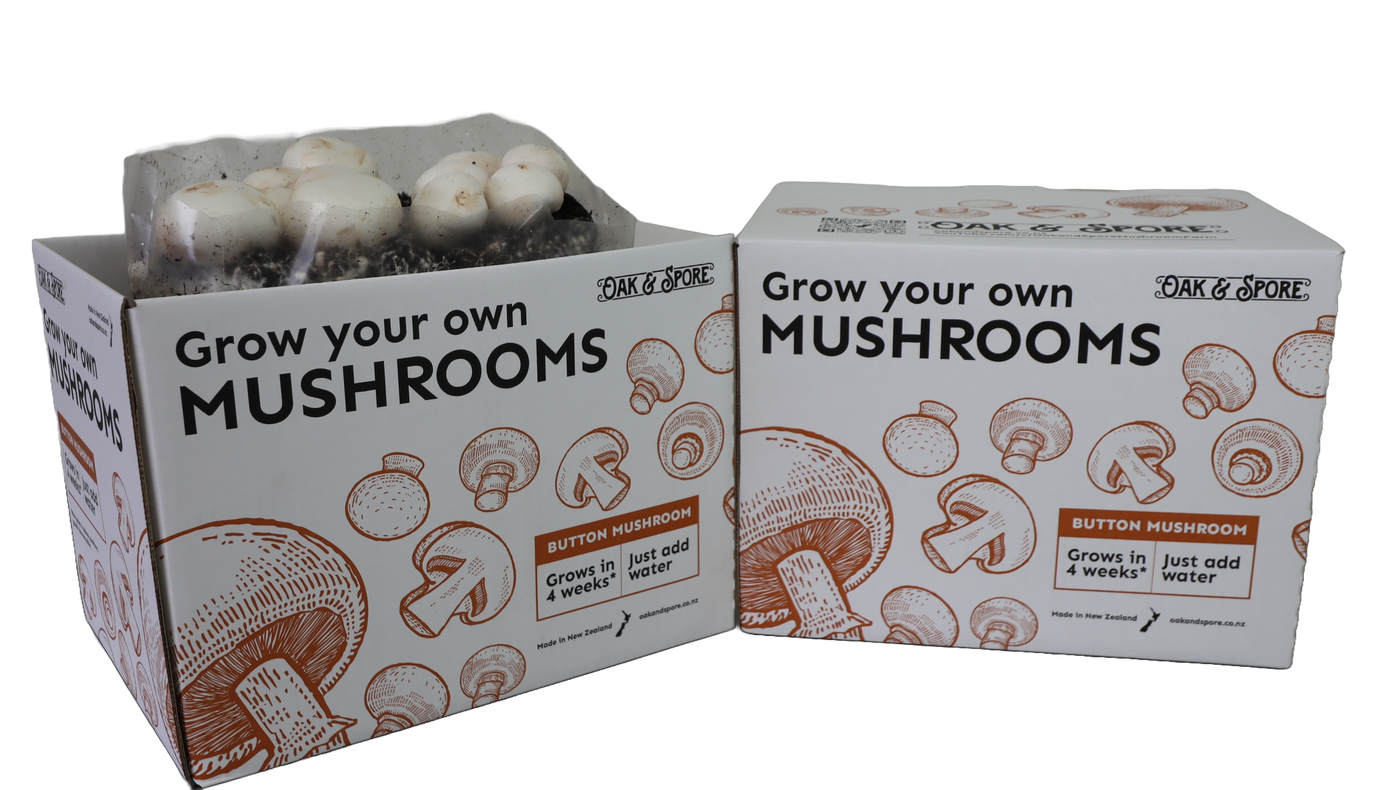 Button Mushroom Grow Kit - 2 Pack