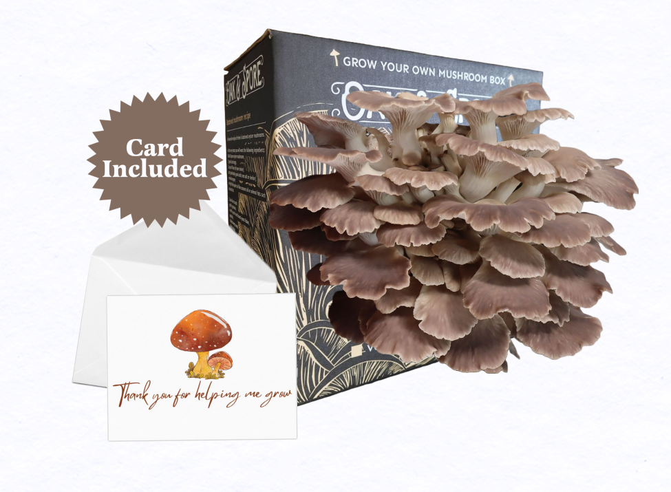2025 Mother's Day Gift Bundle - Italian Oyster
